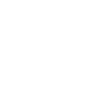 Ubiquiti Networks Inc. Logo (White)